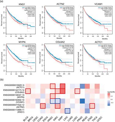 MONet: cancer driver gene identification algorithm based on integrated analysis of multi-omics data and network models